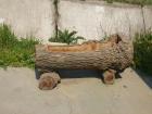 thumbs/pict1105.jpg