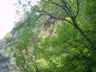 thumbs/pict1117.jpg