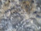 thumbs/pict1120.jpg