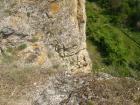 thumbs/pict1127.jpg