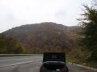 thumbs/pict0001.jpg