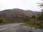 thumbs/pict0003.jpg