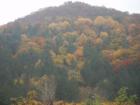 thumbs/pict0006.jpg