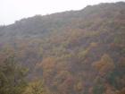 thumbs/pict0008.jpg