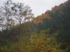 thumbs/pict0011.jpg