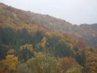 thumbs/pict0012.jpg
