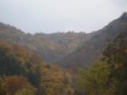 thumbs/pict0013.jpg