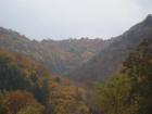 thumbs/pict0013.jpg