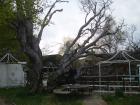 thumbs/pict1224.jpg