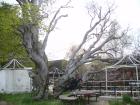 thumbs/pict1225.jpg