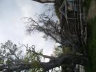 thumbs/pict1226.jpg