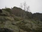 thumbs/pict1245.jpg
