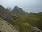 thumbs/pict1246.jpg