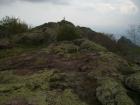 thumbs/pict1250.jpg