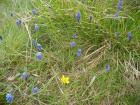 thumbs/pict1257.jpg