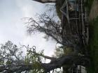 thumbs/pict1226.jpg