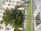 thumbs/pict0722.jpg