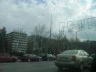 thumbs/pict0745.jpg