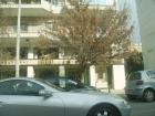 thumbs/pict0773.jpg