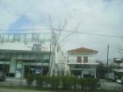 thumbs/pict0782.jpg