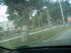 thumbs/pict0792.jpg