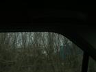thumbs/pict0804.jpg