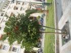 thumbs/pict0722.jpg