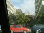 thumbs/pict0762.jpg