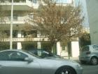 thumbs/pict0773.jpg