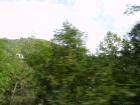 thumbs/pict0257.jpg