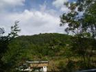 thumbs/pict0258.jpg