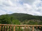 thumbs/pict0270.jpg