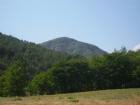 thumbs/pict0274.jpg