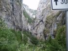 thumbs/pict0276.jpg