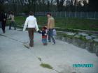 thumbs/pict1217.jpg