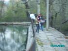 thumbs/pict1224.jpg