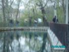 thumbs/pict1225.jpg