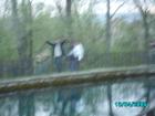 thumbs/pict1226.jpg