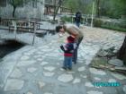 thumbs/pict1229.jpg