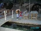 thumbs/pict1232.jpg