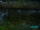 thumbs/pict1233.jpg