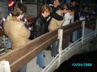 thumbs/pict1238.jpg