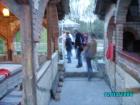 thumbs/pict1242.jpg