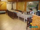 thumbs/pict0095.jpg