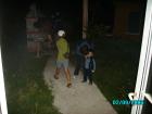 thumbs/pict0098.jpg