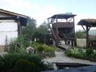 thumbs/pict0283.jpg
