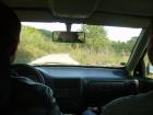 thumbs/pict0288.jpg