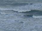 thumbs/pict0303.jpg