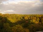thumbs/pict0328.jpg
