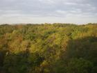 thumbs/pict0329.jpg